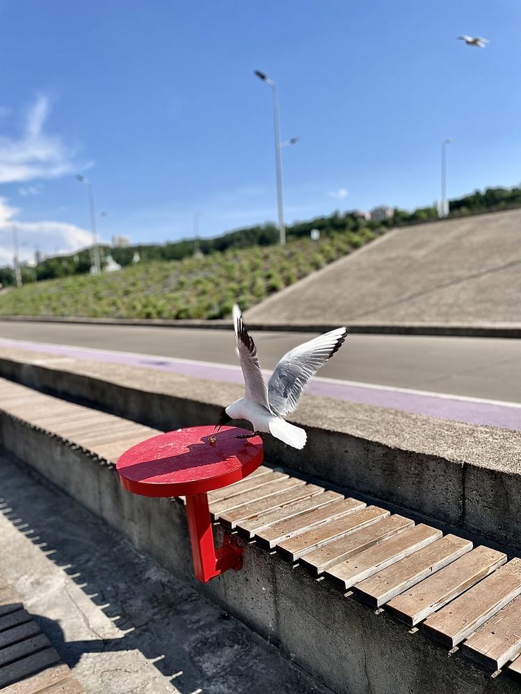 Photograph by Лариса Белашова