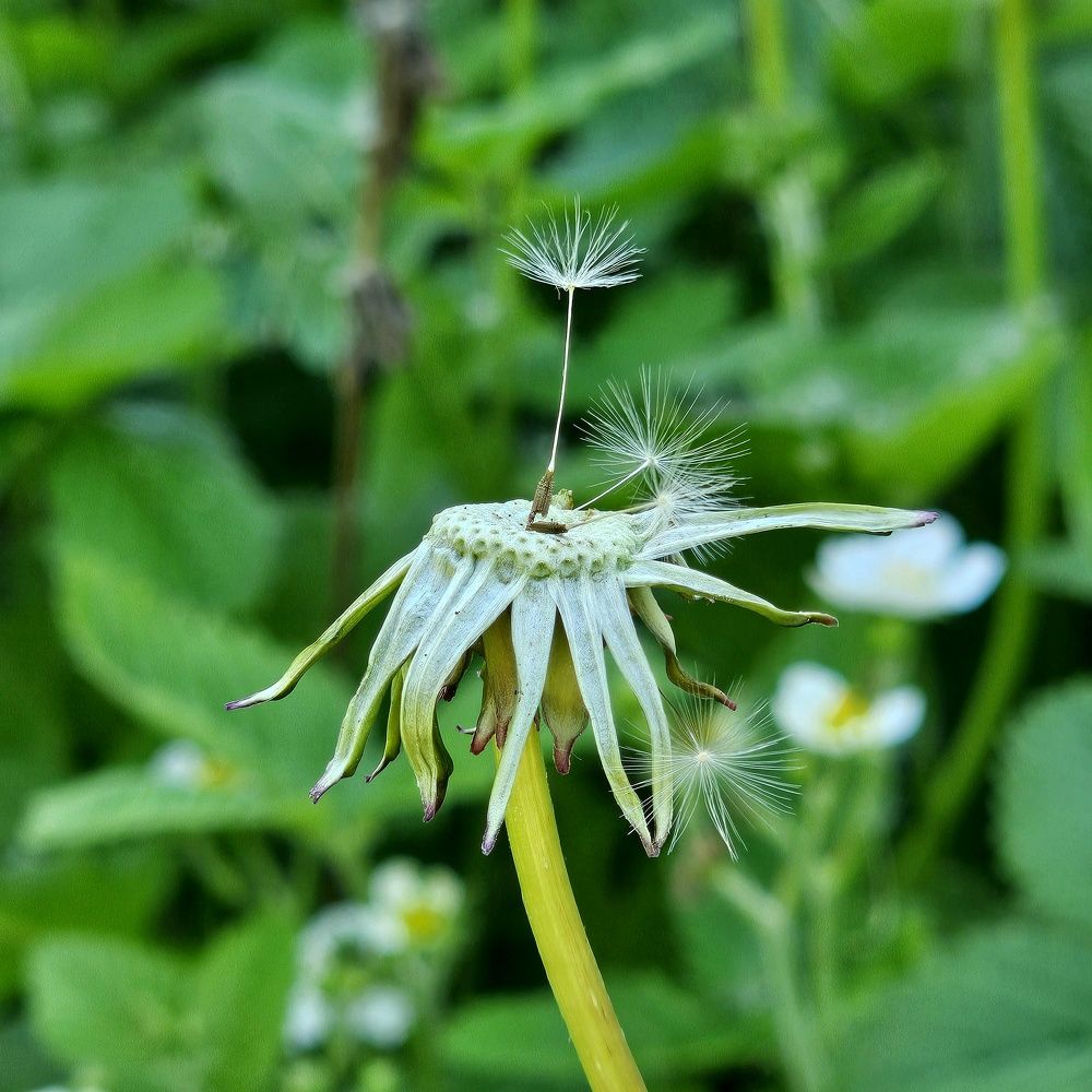 Photograph by Галина Левина