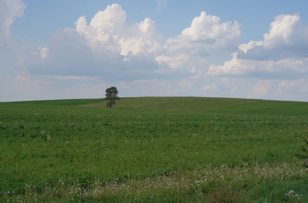 Photograph by Измаил Ефимов