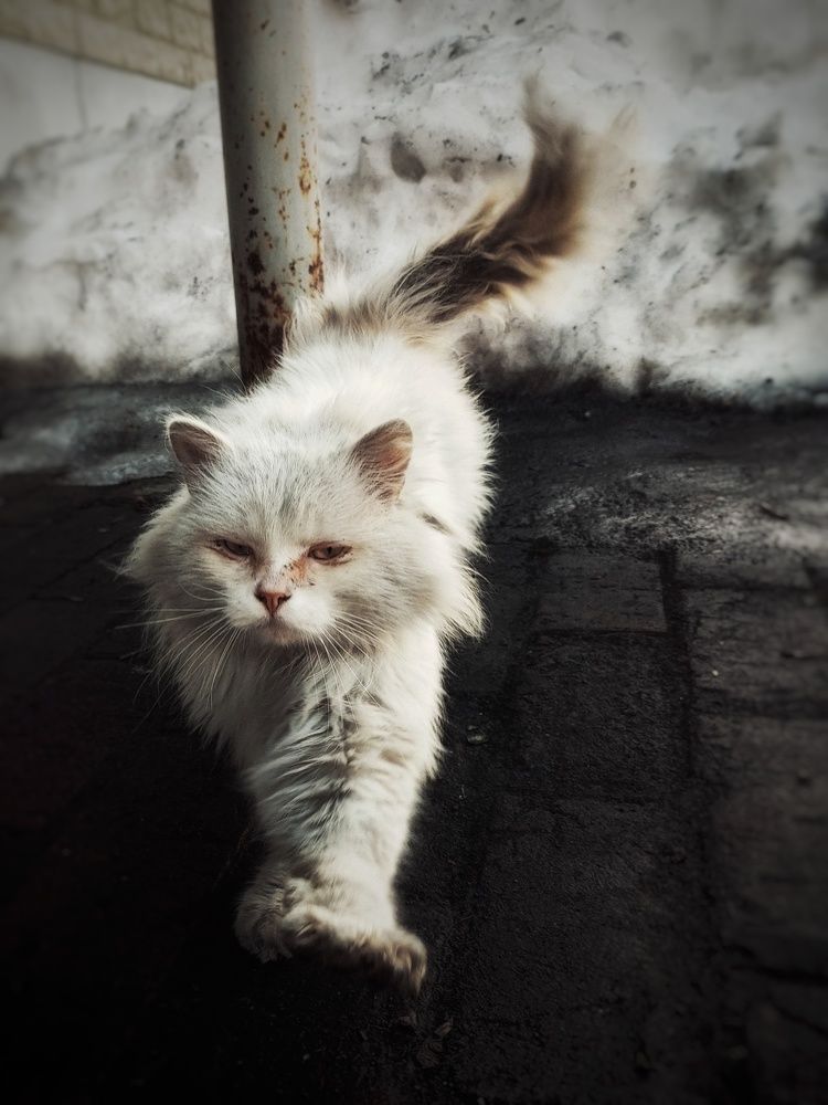 Photograph by Ольга Юминова