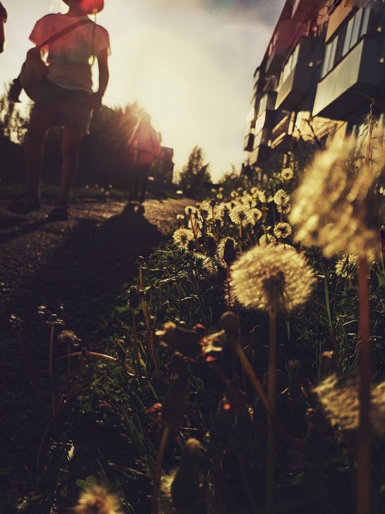 Photograph by Ольга Юминова