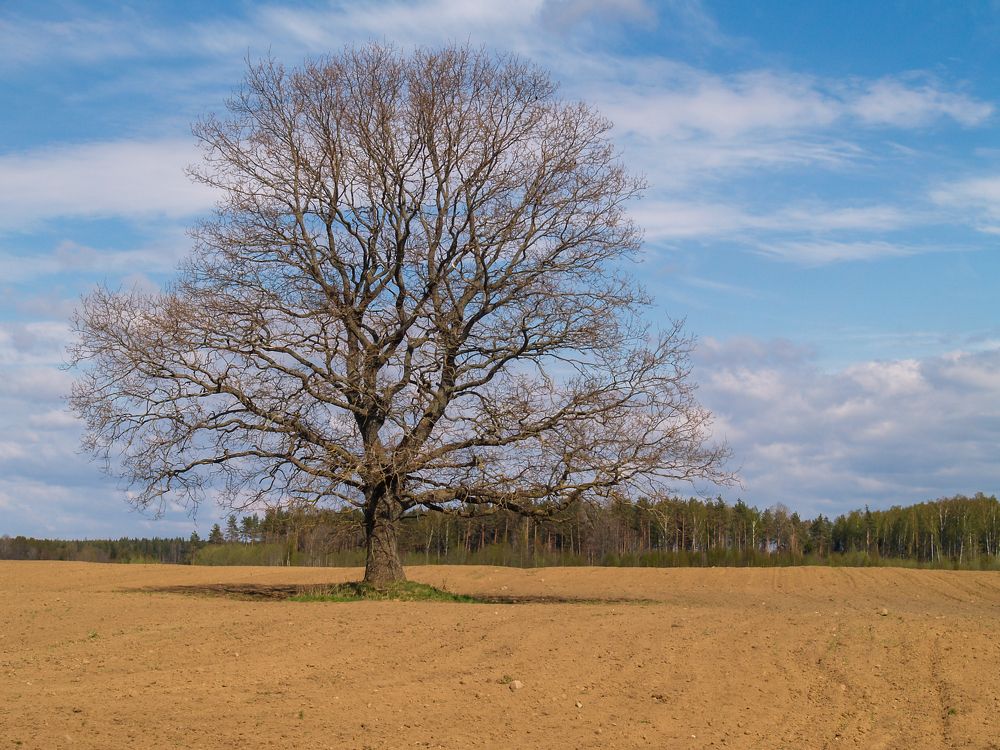 Photograph by Agita Leimane