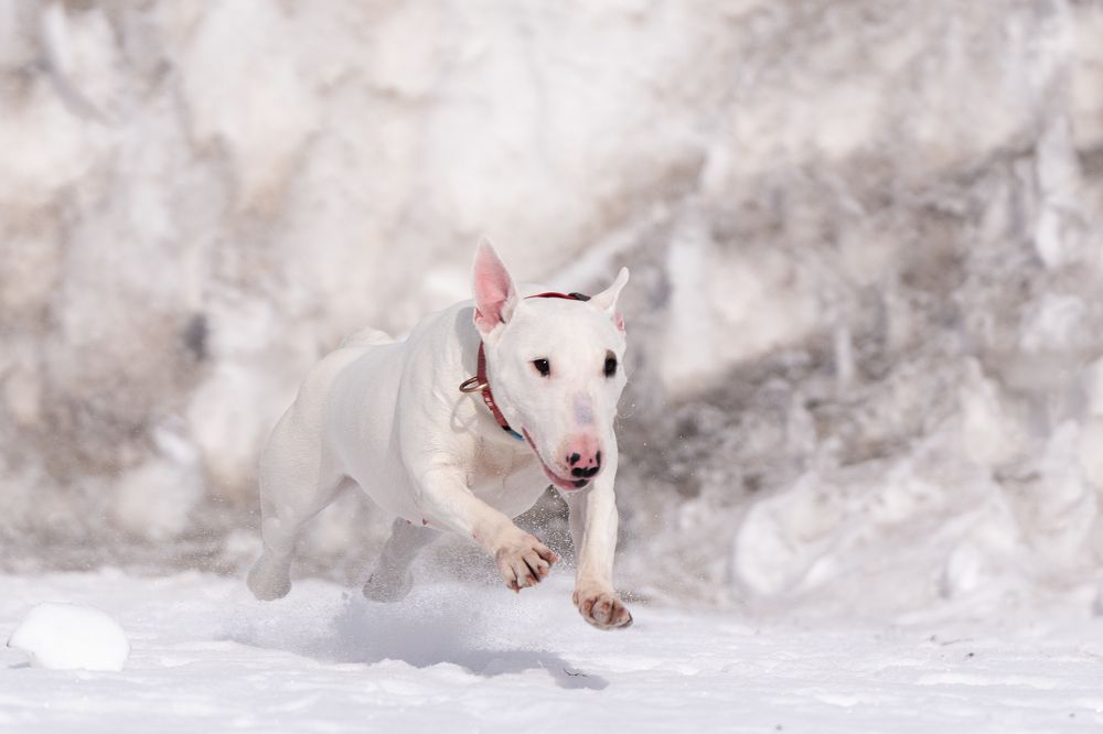 Photograph by Sergey Zhirkevich