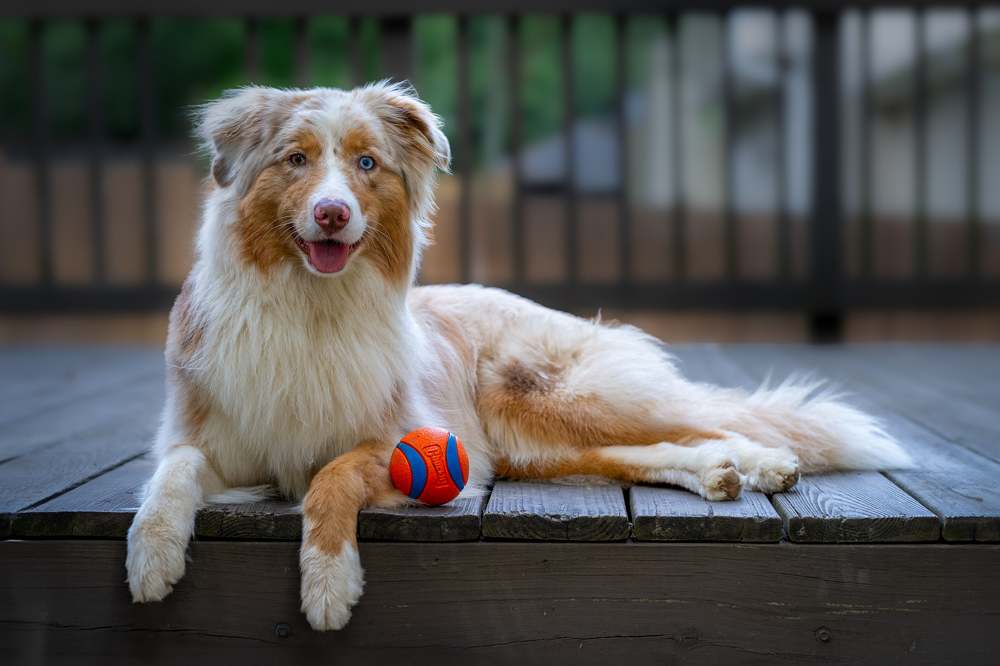 Photograph by Claudia Rios