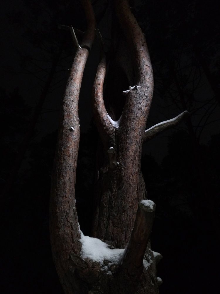 Photograph by Карина Шаланкова