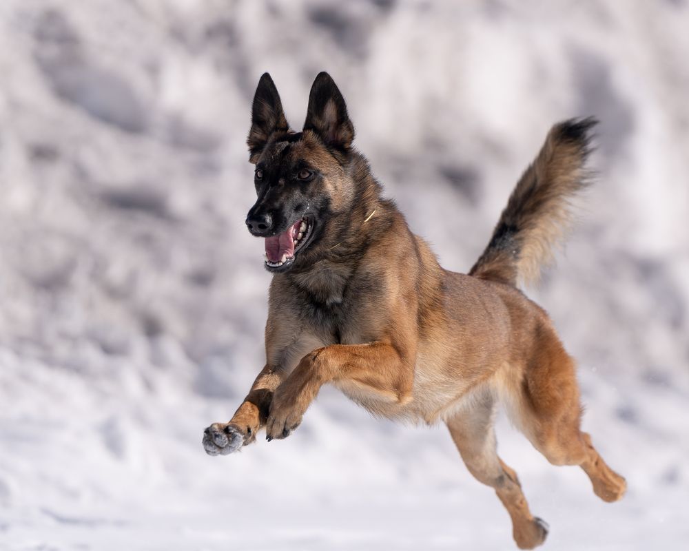 Photograph by Sergey Zhirkevich