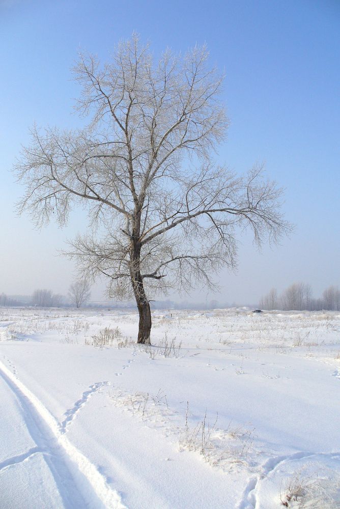 Photograph by Сергей Девяткин