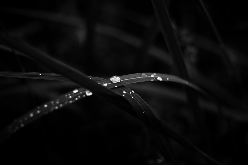 Photograph by Magic Helios