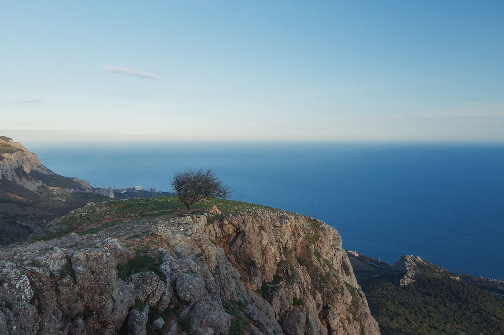 Обласканное ветром.