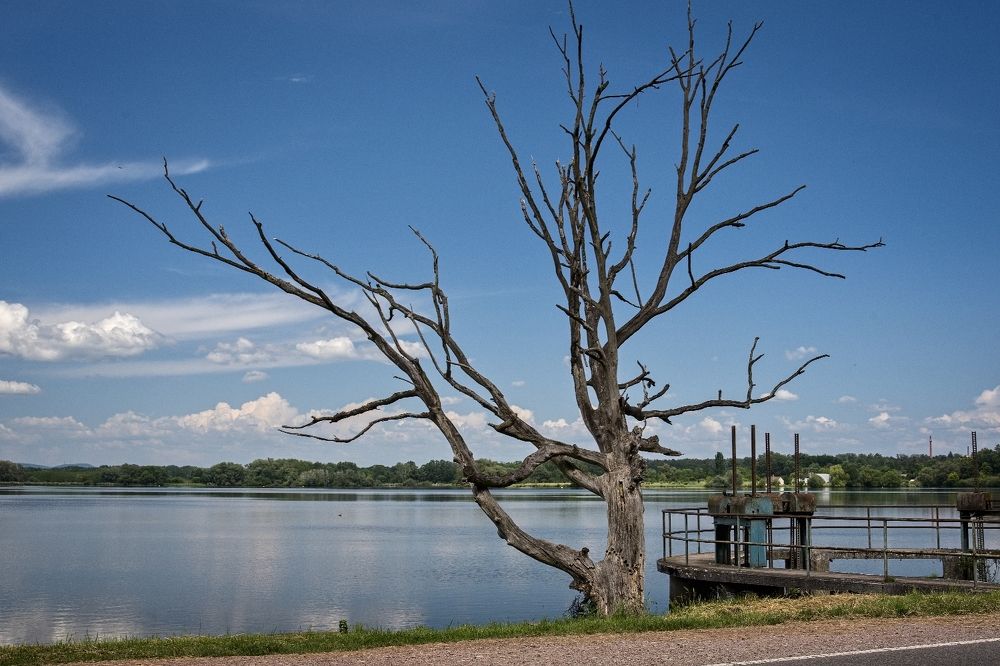 Photograph by Milan Cernak