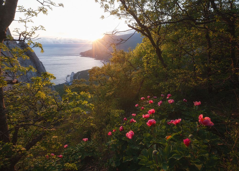 Солнышко лучистое улыбнулось весело!