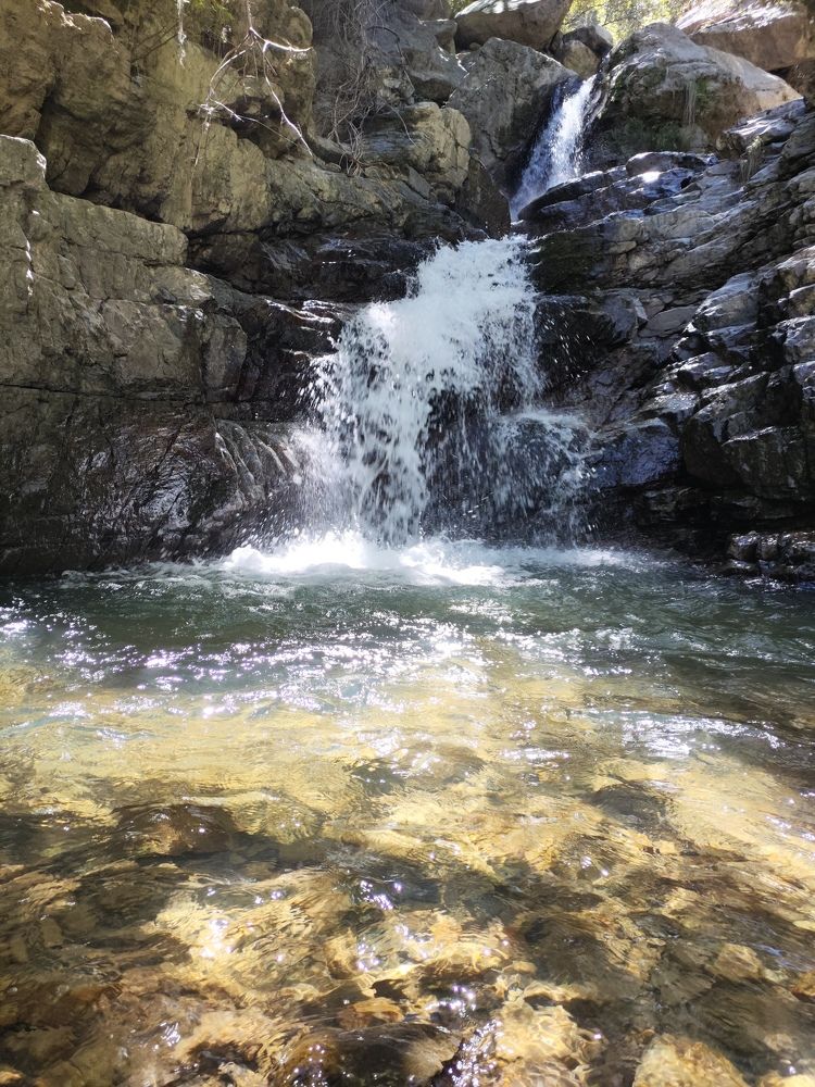 Photograph by Maribel Rojas