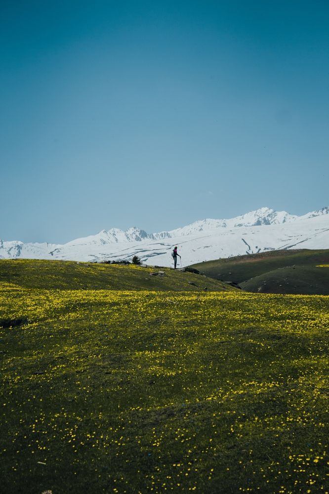 Photograph by Bhatt Muxamil