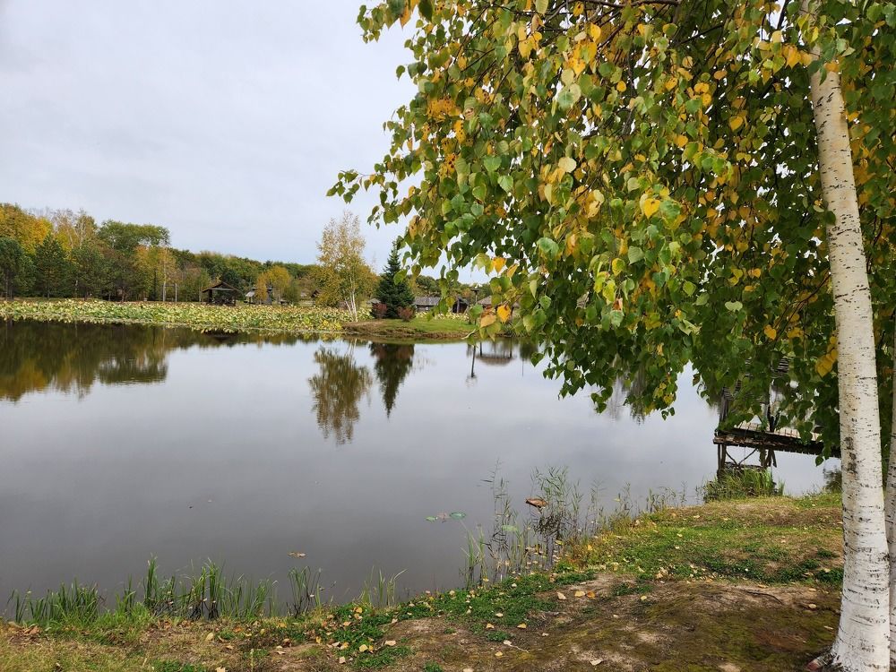 Photo #10668294