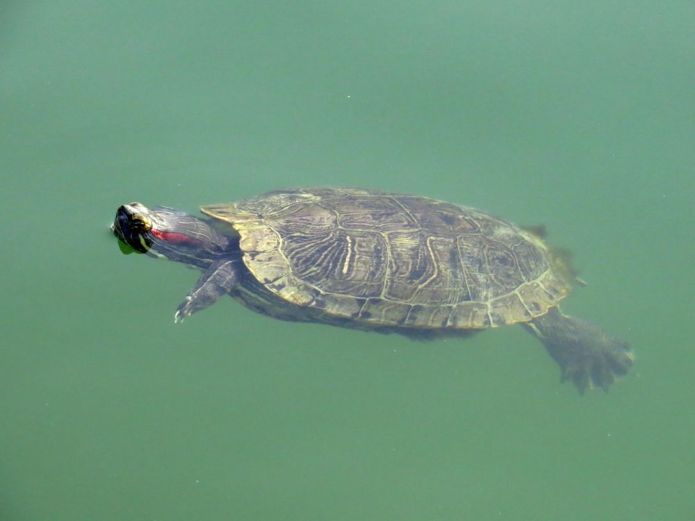 Photograph by Оксана Малахова