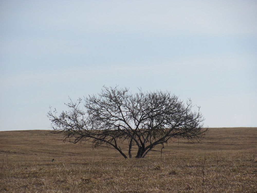 Photograph by Юлия