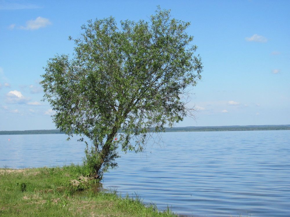 Photograph by Юлия