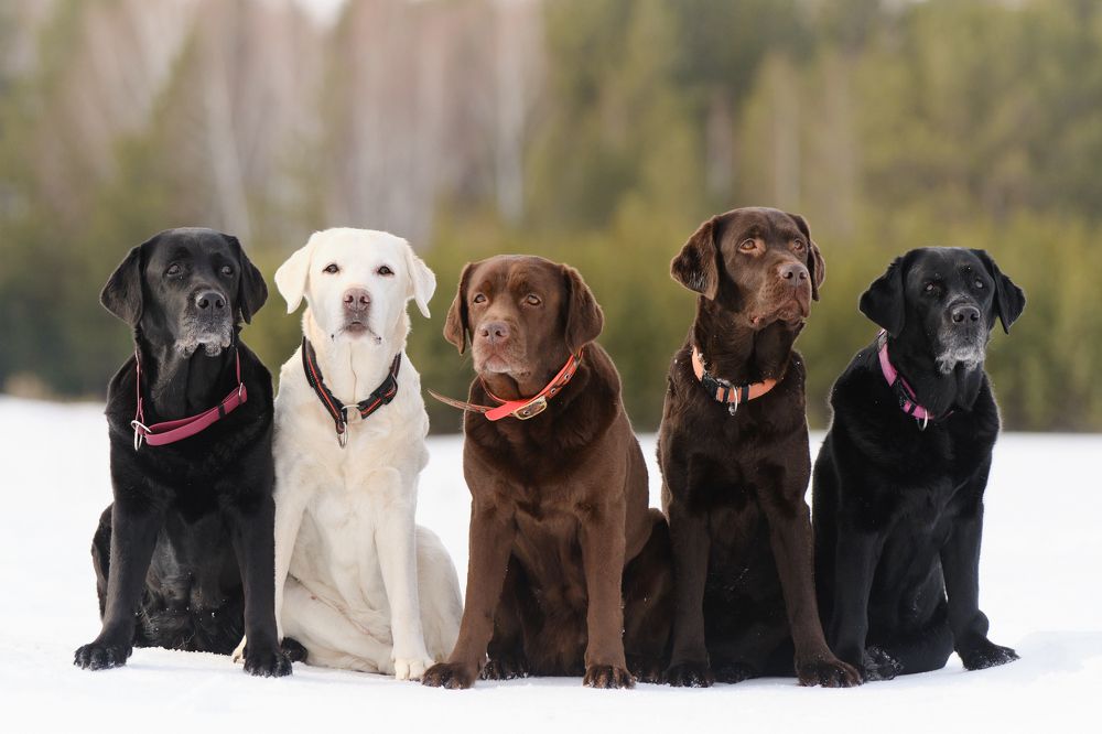 Photograph by Екатерина