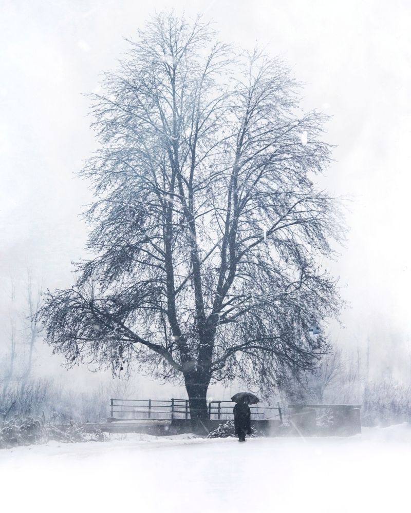 Photograph by Bhatt Muxamil