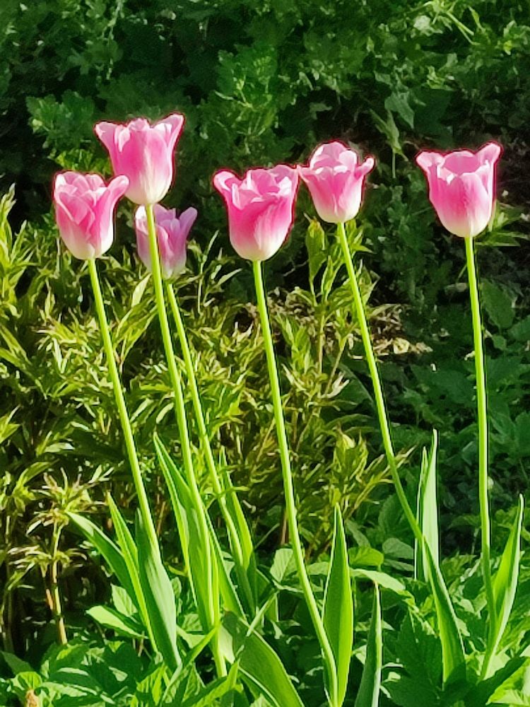 Photograph by Шило Сергей