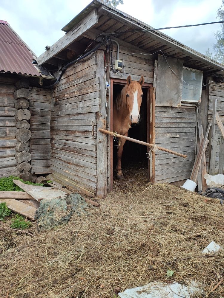 Photograph by Шило Сергей