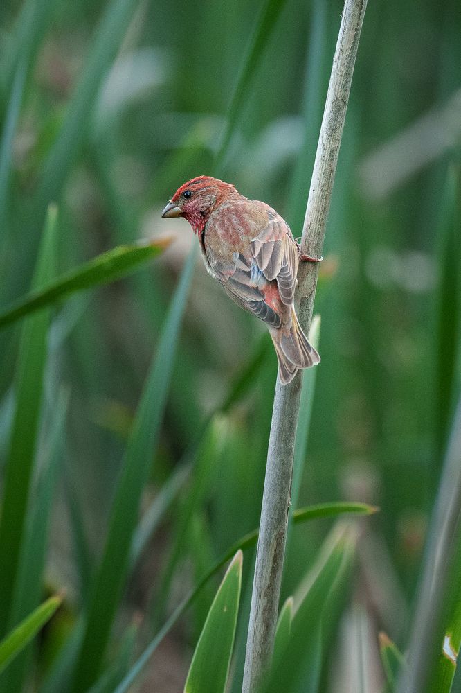 Photograph by Anton Alekseychik