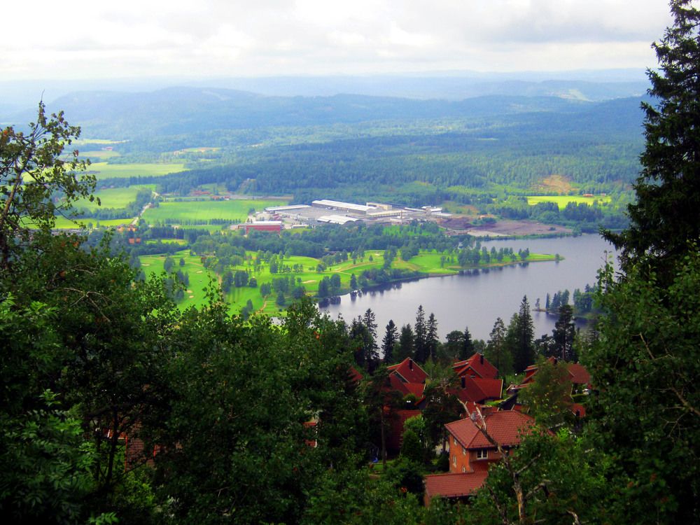 Photo #10668459