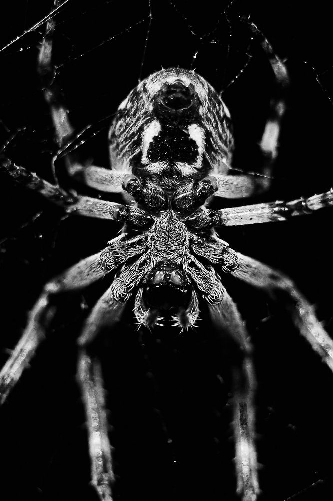 Photograph by Eva Daučíková