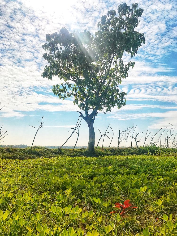 Фотография автора Washiful Majid