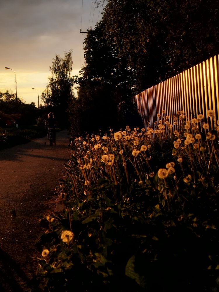 Photograph by Оксана Артимович