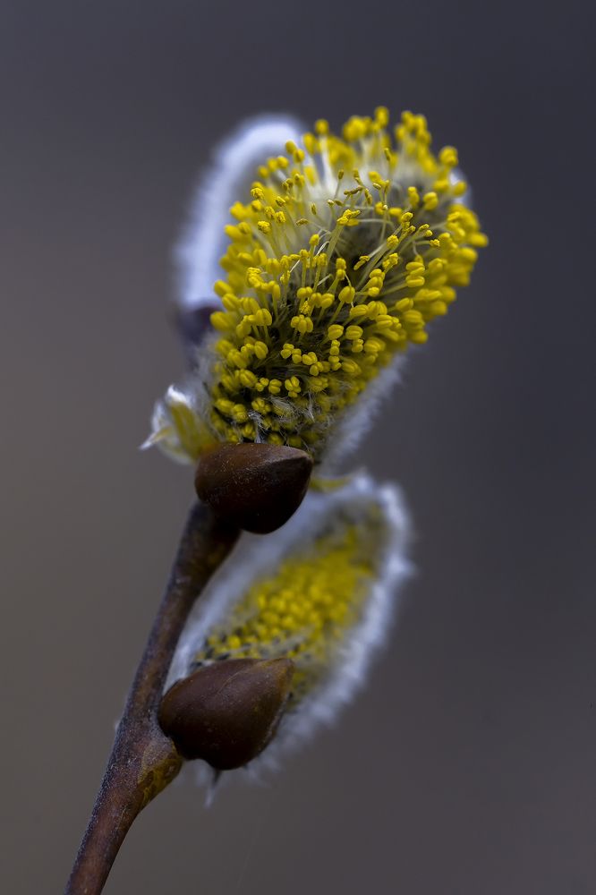 Photograph by Олег Тетерин