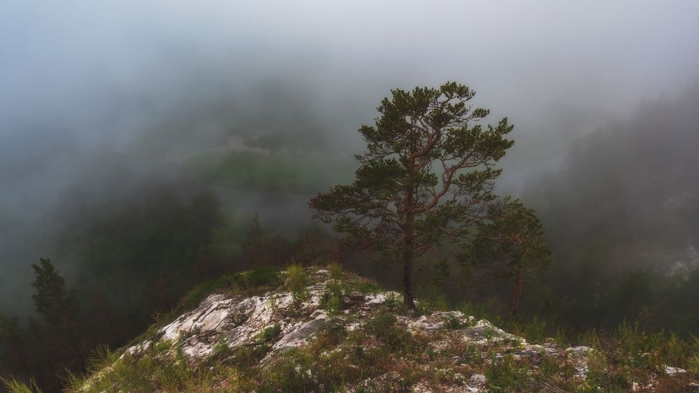 Photograph by Таипов Ильгиз