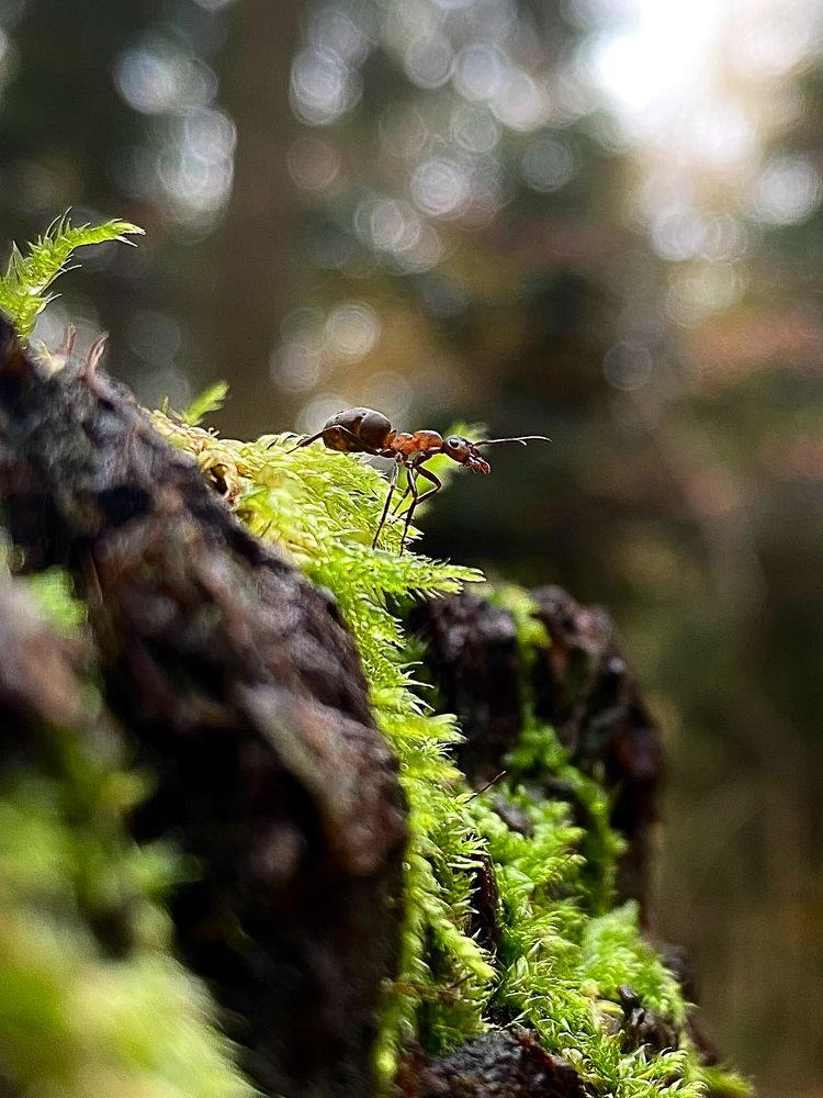 Photograph by Eva Daučíková