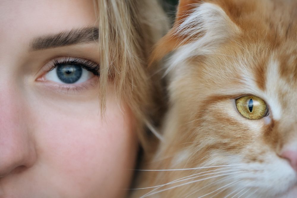 Photograph by Ирина Андрианова