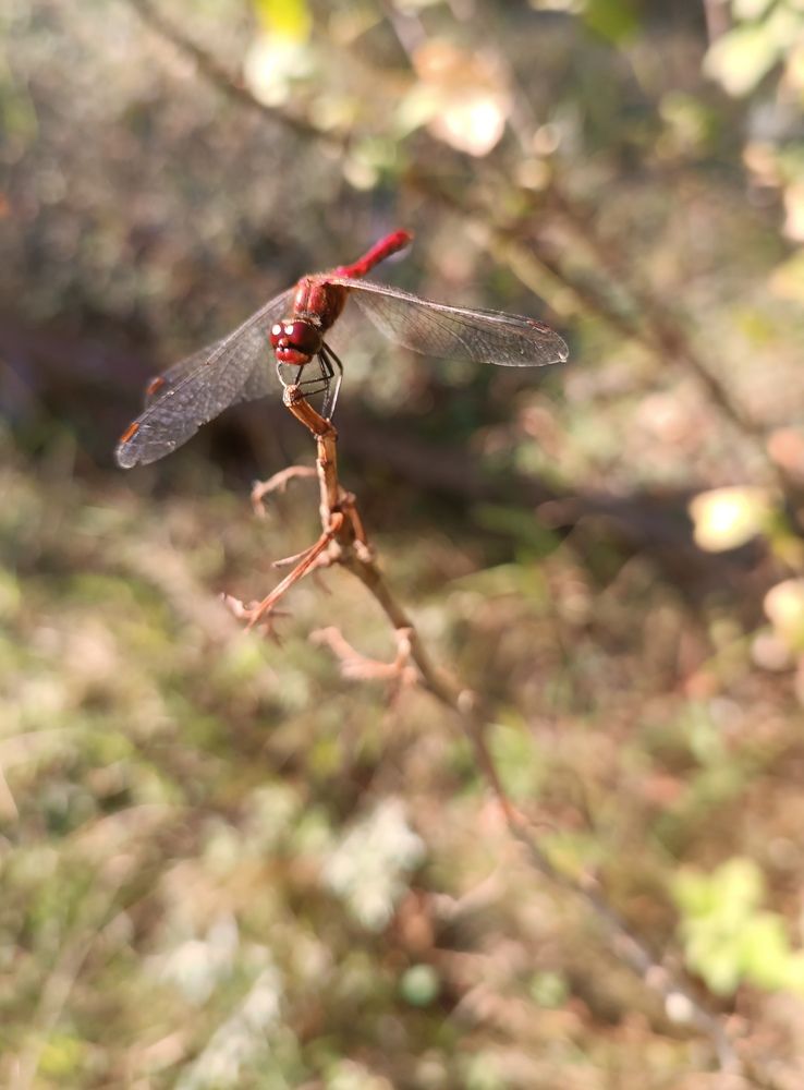 Photograph by Olga Kot