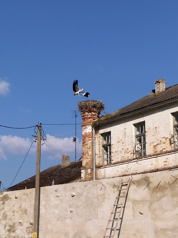 Photograph by Olga Kot