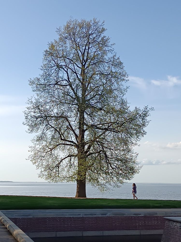 Photograph by Olga Kot