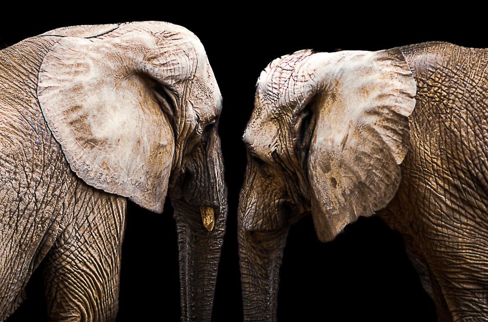 Photograph by Eva Daučíková