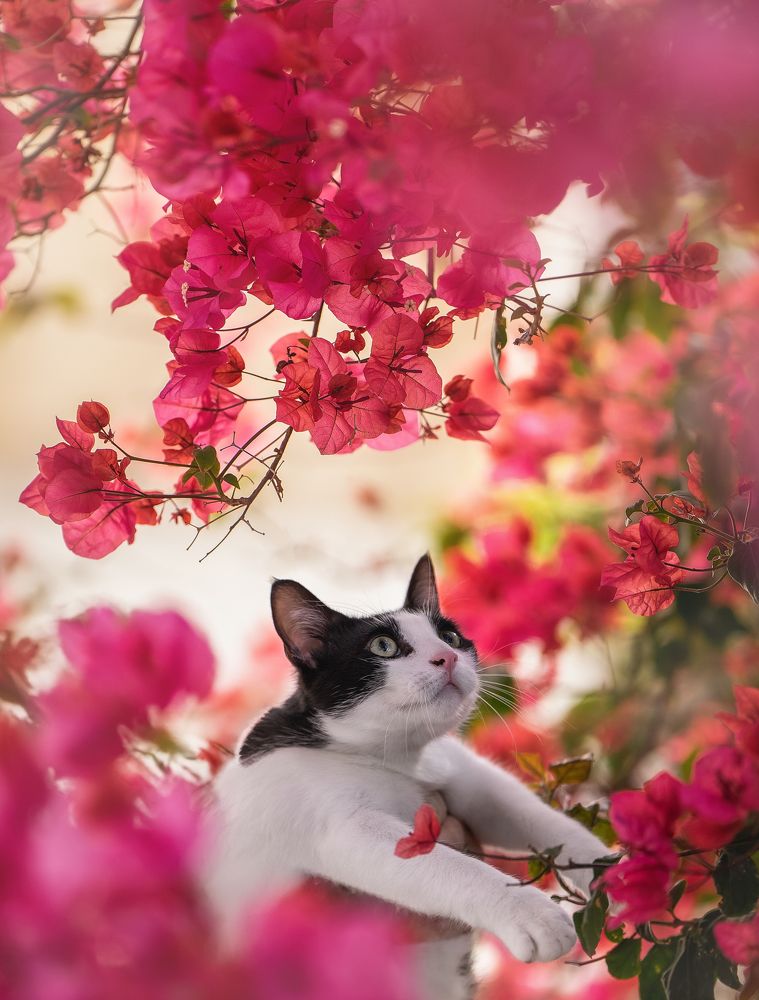 Photograph by Ирина Андрианова