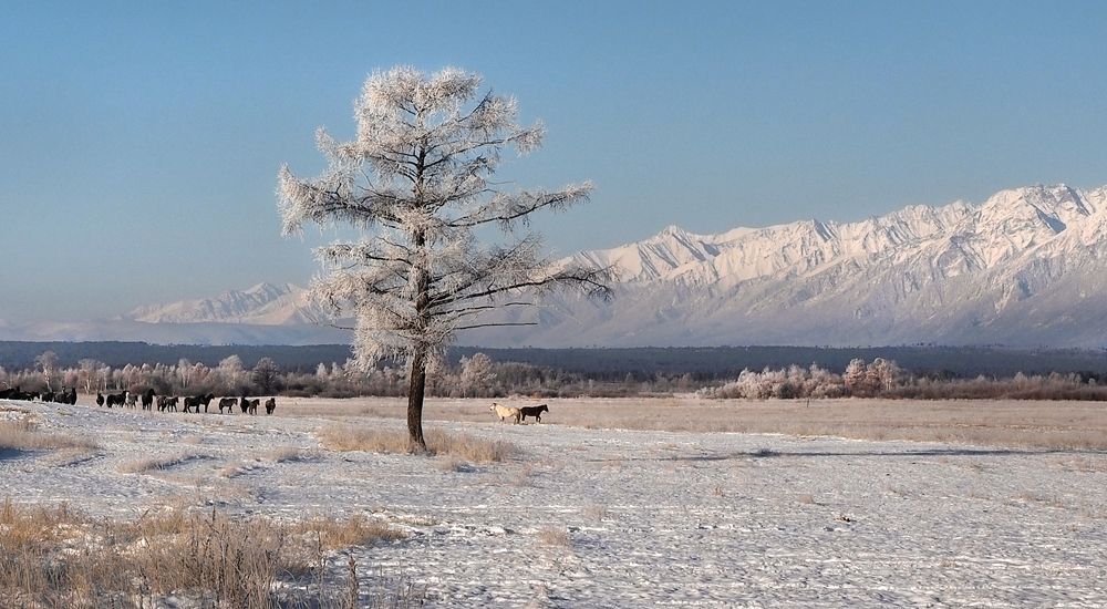 Photograph by Александр Попов