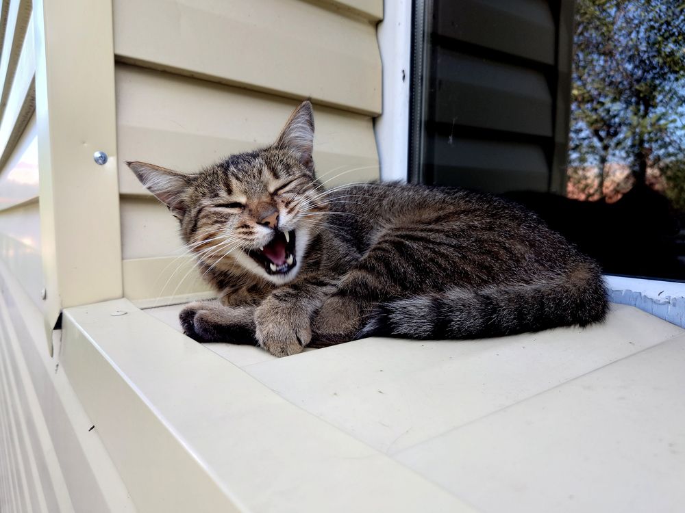 Фотография автора Дмитрий Referee