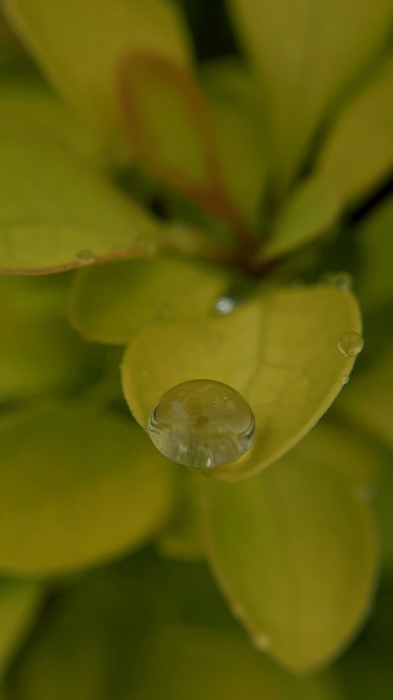 Photograph by Ангелина Ядкова