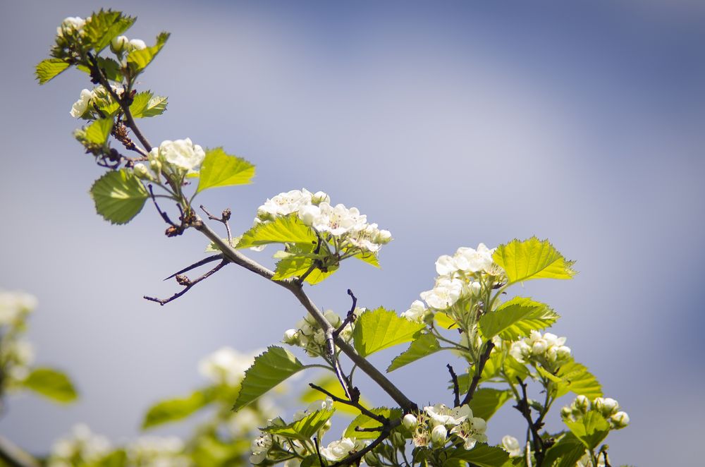 Photograph by Mishel Photographer