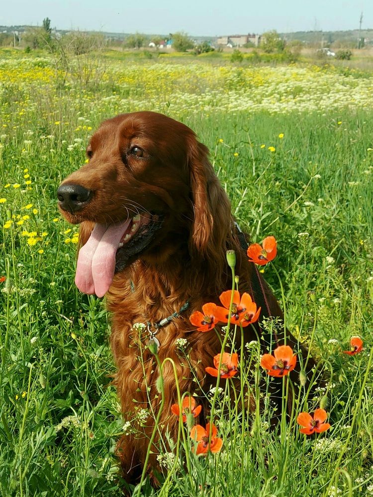 Photograph by Наталья Коржова