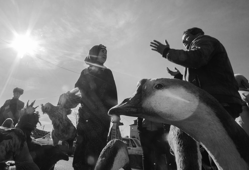 Фотография автора Ghadir Vaghari