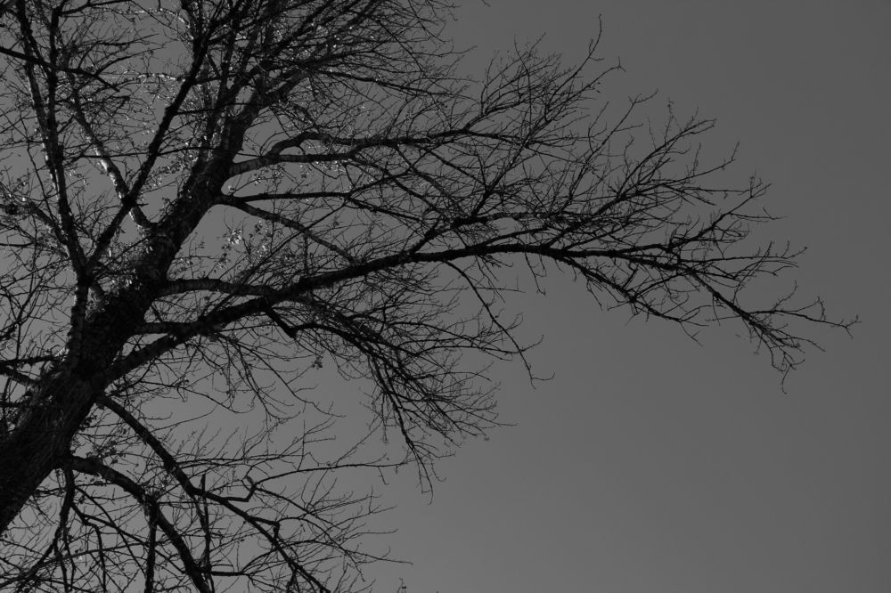 Photograph by Александра Пушнова