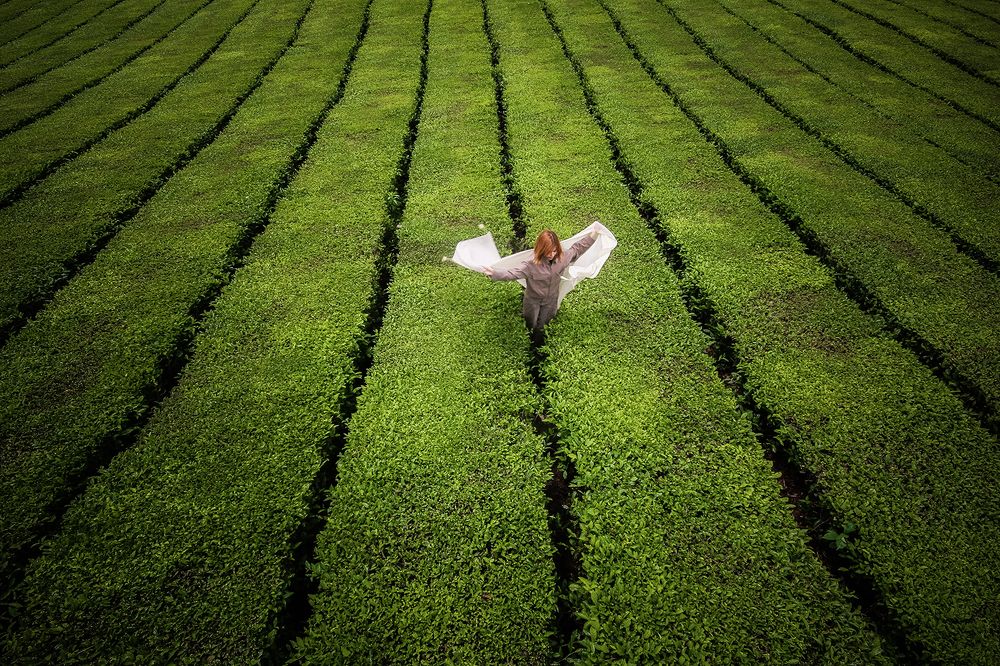 Фотография автора Ghadir Vaghari