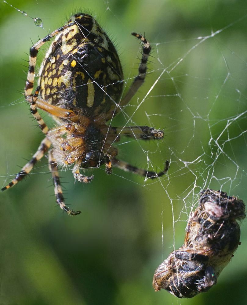 Фотография автора Борис Журавлёв