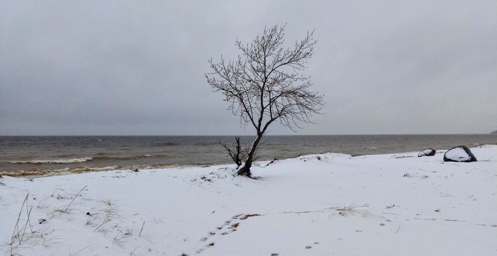 Photograph by Svetlana Gubanova