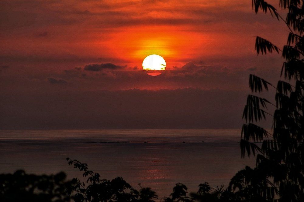 Photograph by Mauricio Mora Flores